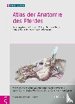  - Atlas der Anatomie des Pferdes