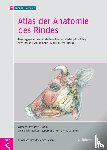  - Atlas der Anatomie des Rindes