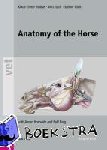 Budras, Klaus Dieter (University of Berlin, Germany), Sack, W. O. (Cornell University, USA), Rock, Sabine (University of Berlin, Germany), Horowitz, Aaron (Ross University, St. Kitts, West Indies) - Anatomy of the Horse - with Aaron Horowitz and Rolf Berg