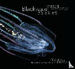 Wakolbinger, Manfred, Ransmayr, Christoph - Manfred Wakolbinger - Blackwater Galaxies