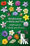  - Wildblumen in Wald und Flur