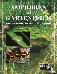 Saint-Paul, Andre de, Brand, Ingo, Schmidt, Wolfgang - Amphibien am Gartenteich
