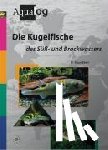 Ebert, Klaus - Die Kugelfische des Süß- und Brackwassers