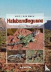 Schumacher, Robert - Halsbandleguane