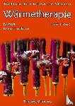 Thews, Franz - Wärmetherapie in der Traditionellen Chinesischen Medizin