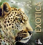 Foster, Melanie - Porzellanmalerei - Exotica