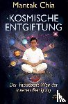 Chia, Mantak, Wei, William U. - Kosmische Entgiftung. Der taoistische Weg der inneren Reinigung