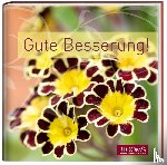  - Gute Besserung!