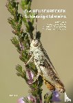 Winkler, Christian, Schulz, Björn, Voß, Klaus, Drews, Arne - Die Heuschrecken Schleswig-Holsteins