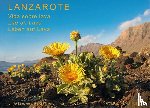Strecker, Ulrike, Wilkens, Horst - Lanzarote - Leben auf Lava
