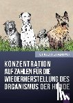 Grabovoi, Grigori - Konzentration Auf Zahlen Fur Die Wiederherstellung Des Organismus Der Hunde (German Edition)