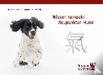 Hauswirth, Susanne - Wissen kompakt - Akupunktur Hund