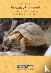 Dworschak, Christine - Testudo kleinmanni