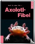 Hoedt, Werner, Schneider, Maite, Weinzierl, Friederike - Axolotl-Fibel