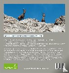 Wiesinger, Andreas - Wanderungen zu den Steinböcken