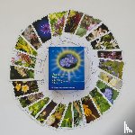 Maly, Ilse - Bachblüten-Karten. Blütenkarten als Chance und Hilfe