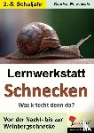 Rosenwald, Gabriela - Lernwerkstatt Schnecken