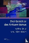 Herf, Jeffrey - Drei Gesichter des Antisemitismus