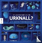 Duprat, Guillaume - Wie laut war eigentlich der Urknall?