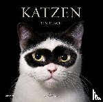 Flach, Tim - Katzen
