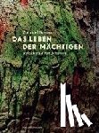 Del Buono, Zora - Das Leben der Mächtigen