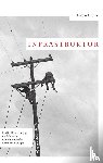 Richter, Steffen - Infrastruktur - Ein Schlüsselkonzept der Moderne und die deutsche Literatur 1848-1914