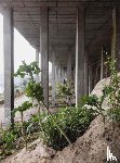 Delmar, Alexandre, Ribeiro da Silva, Luís, Quintã, Margarida, Moreno, Joaquim - Delmar, A: Notes from the Underdog / Anotações sobre o Abaix