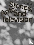 Rytka, Zygmunt, Le¿niewska, Anna Maria, Crowley, David - Zygmunt Rytka: Stones, Ants, and Television