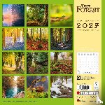  - Deep Forest 2027