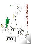 Fromm, Günter, Rockstuhl, Harald, Rau, Uwe - Nebenbahnen im Weimarer und Sömmerdaer Land