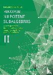 Wirsing, Sven Bodo - Maximal Nilpotent Subalgebras II