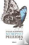 Schwartz, Tobias - Morpho peleides