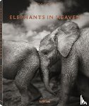 Schmeisser, Joachim - Elephants in Heaven