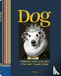 Lucasson, Tein - Dog