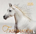  - Fascination 2026