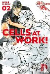 Shimizu, Akane - Cells at Work! 2