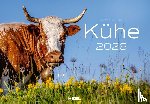 Klein, J. -L., Hubert, M. -L. - Kühe Kalender 2026 Wandkalender
