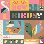  - How Many Birds?