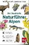 Schauer, Thomas, Caspari, Stefan - Der illustrierte Naturführer Alpen