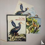 Naumann, Johann Friedrich - Die Vögel Mitteleuropas (Luxusausgabe im Großformat)