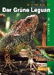 Köhler, Gunther - Der Grüne Leguan im Terrarium