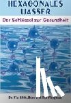 Mu Shik Jhon - Hexagonales Wasser