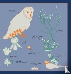  - Kleine Vogel-Wunderkammer