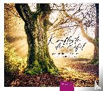 Brühl, Regine - Kraftorte der Eifel