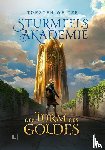 Weitze, Torsten - Der Turm des Goldes: Gebundene Schmuckausgabe mit Farbschnitt