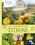 Hirsch, Siegrid, Benz, Doris - Die Heilwirkung der Zitrone