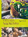 Hirsch, Siegrid - Heilwirkung der Wachteleier
