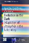 Fuse, Naoyuki, Kitamura, Tasuku, Imafuku, Michio, Arikawa, Kentaro - Evolution in the Dark - Adaptation of Drosophila in the Laboratory