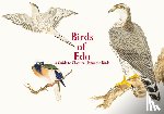 International, PIE - Birds of Edo