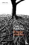 Fuentes, Carlos - Fuentes, C: Espejo Enterrado / The Buried Mirror